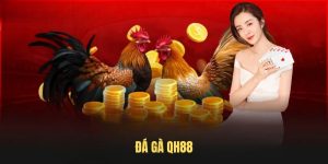 Đá Gà QH88 – Trải Nghiệm Đá Gà Trực Tuyến Đỉnh Cao Tại Việt Nam