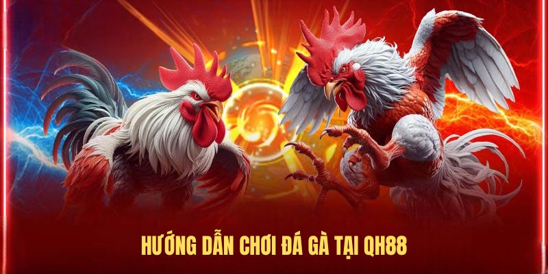 Hướng dẫn chơi đá gà tại QH88